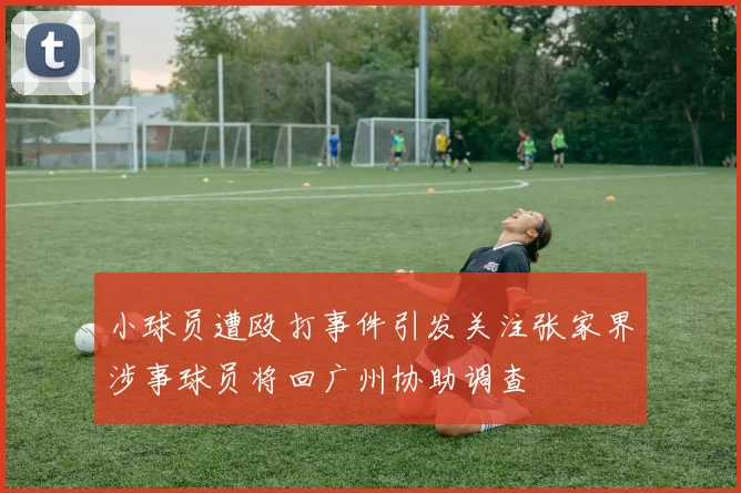 小球员遭殴打事件引发关注张家界涉事球员将回广州协助调查